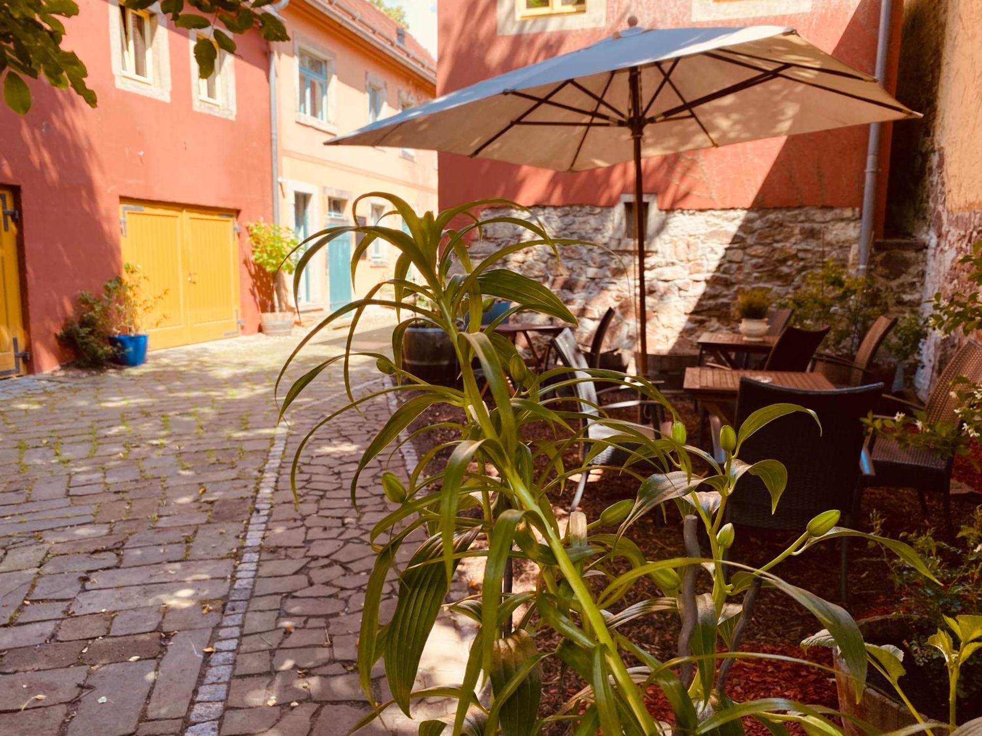 Urlaubshof Altkoe Διαμέρισμα Radebeul Εξωτερικό φωτογραφία